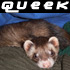 Queek.jpg
