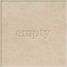 Empty Equipment Card.png