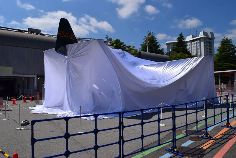 File:Zuiun Hidden.jpg